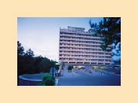 Taschkent: Domina Shodlik Palace Hotel
